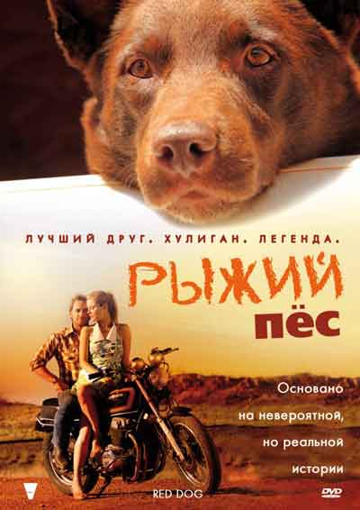 Рыжий пес Рыжий пес