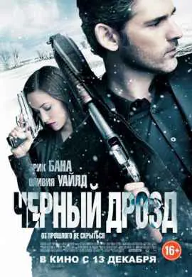 Черный Дрозд