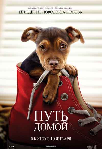 Путь домой Путь домой