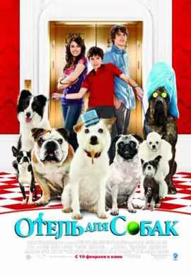 Отель для собак Отель для собак