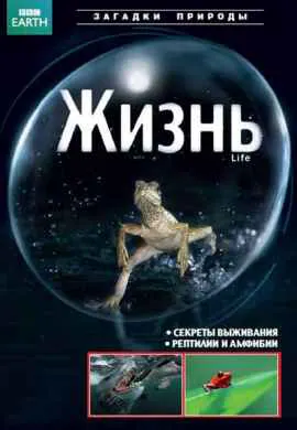 BBC: Жизнь