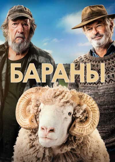 Бараны Бараны