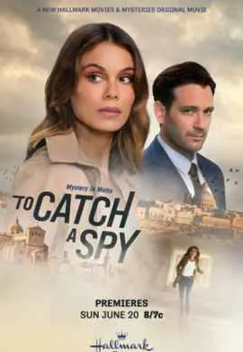 Поймать шпиона Поймать шпиона