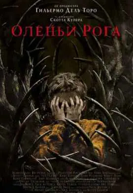 Оленьи рога Оленьи рога