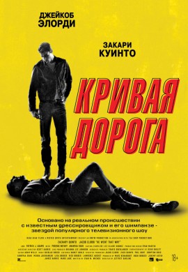 Кривая дорога Кривая дорога