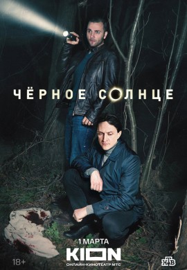 Чёрное солнце Чёрное солнце