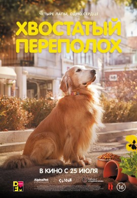 Хвостатый переполох Хвостатый переполох