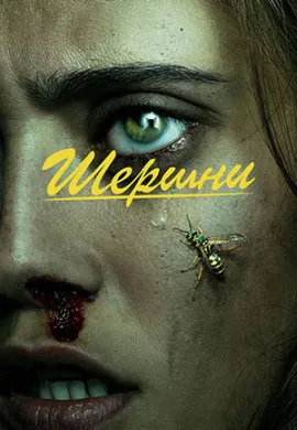 Шершни (3 сезон) Шершни (3 сезон)